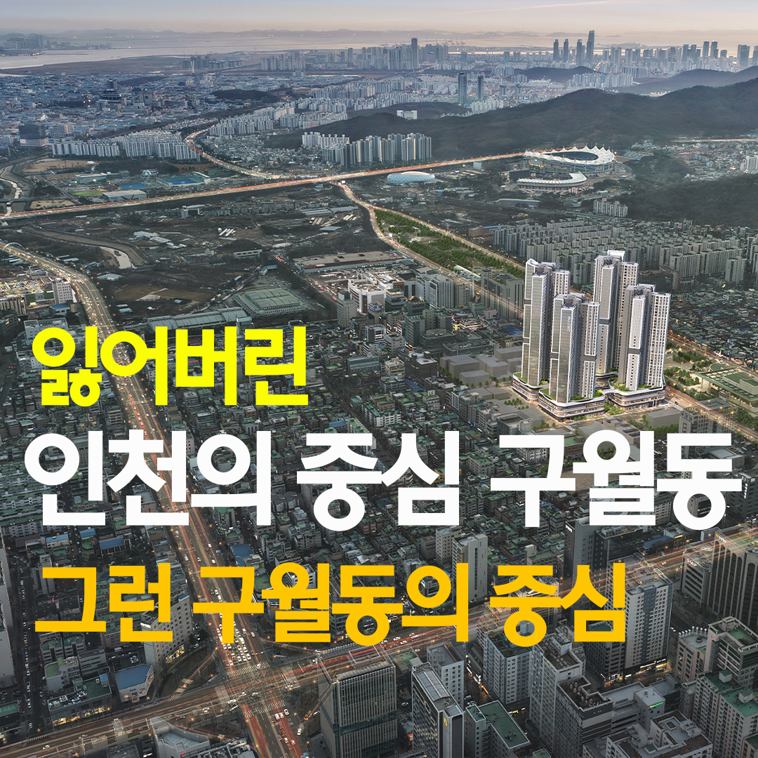 광고 1080 1080 구글 광고 동영상용1